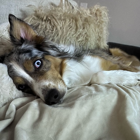 Meet your Posher, Cheryl - Picture 5 of 8